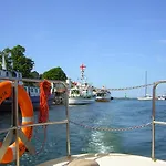 Seepferdchen