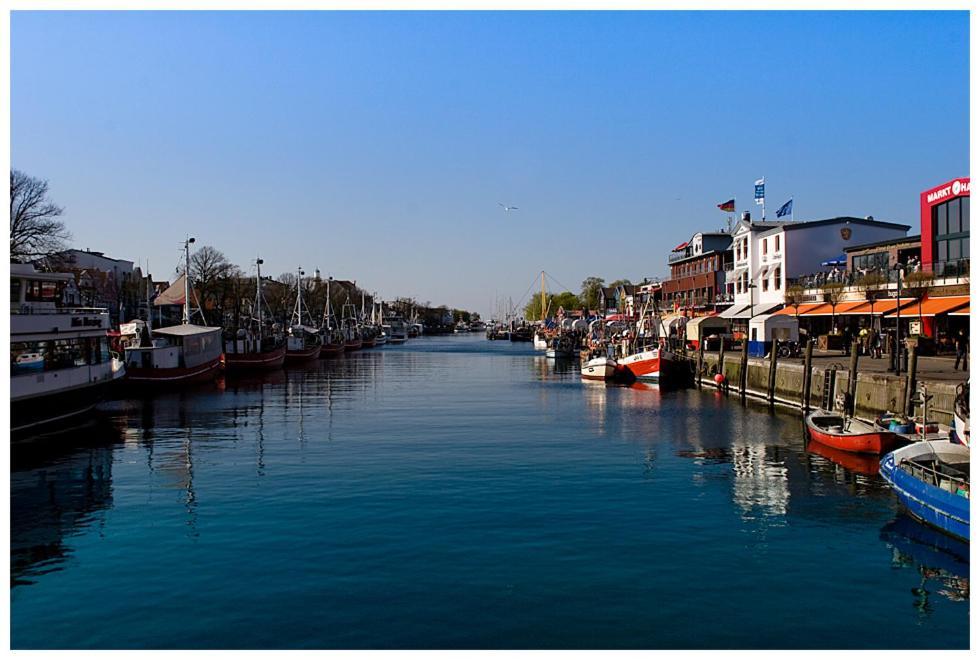 Seepferdchen * Rostock